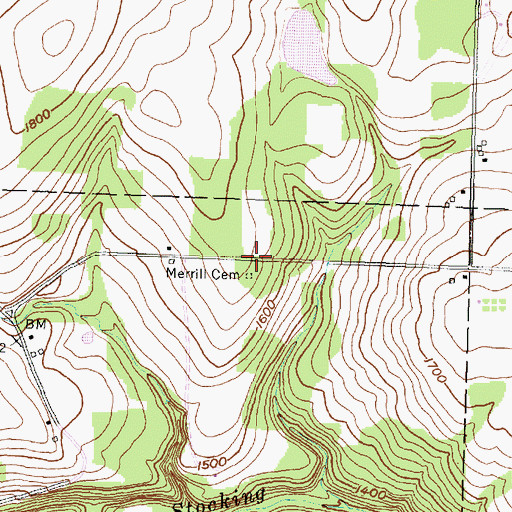Topographic Map of Merrill Cemetery, NY
