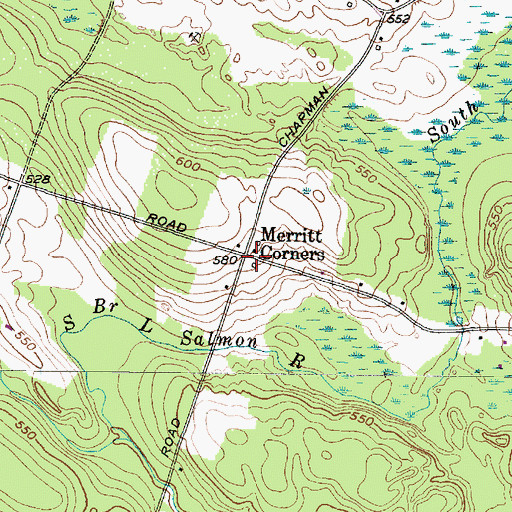 Topographic Map of Merritt Corners, NY