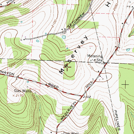Topographic Map of Meservey Hill, NY