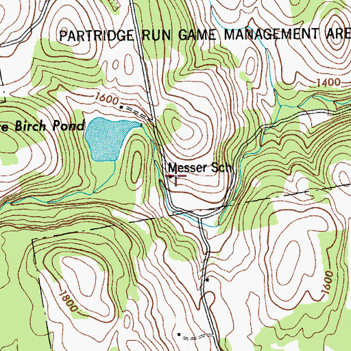 Topographic Map of Messer School, NY