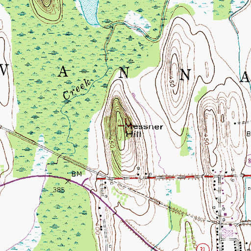 Topographic Map of Messner Hill, NY