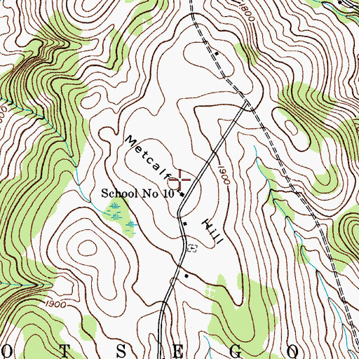 Topographic Map of Metcalf Hill, NY