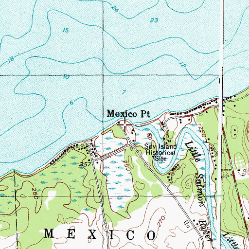 Topographic Map of Mexico Point, NY