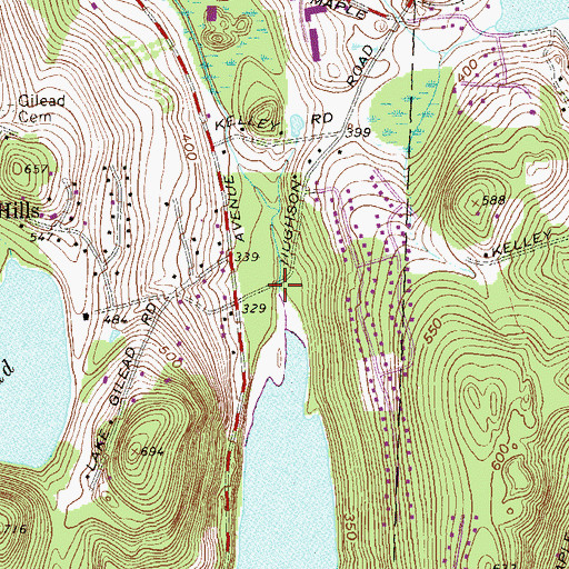 Topographic Map of Michael Brook, NY