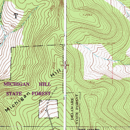 Topographic Map of Michigan Hill, NY