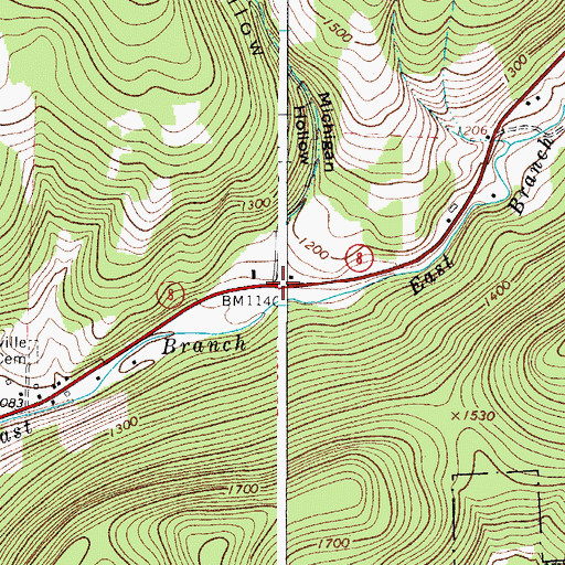 Topographic Map of Michigan Hollow, NY