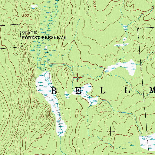 Topographic Map of Middle Branch Trout River, NY