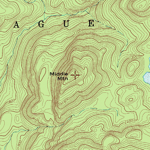Topographic Map of Middle Mountain, NY