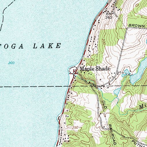 Topographic Map of Mill Branch, NY