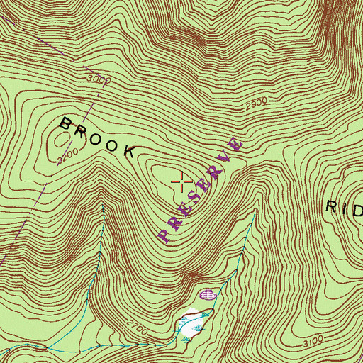 Topographic Map of Mill Brook Ridge, NY
