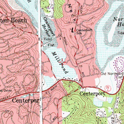 Topographic Map of Mill Pond, NY