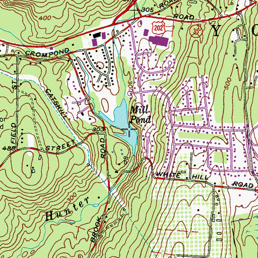 Topographic Map of Mill Pond, NY