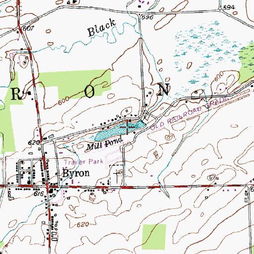 Topographic Map of Mill Pond, NY