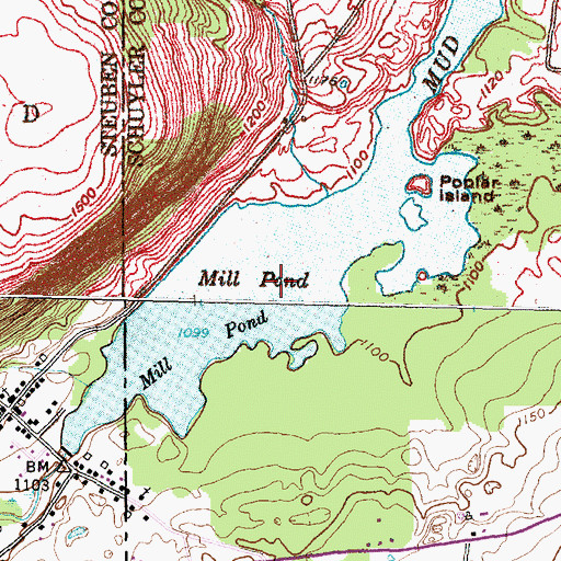 Topographic Map of Mill Pond, NY
