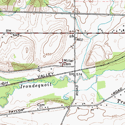 Topographic Map of Miller Cemetery, NY