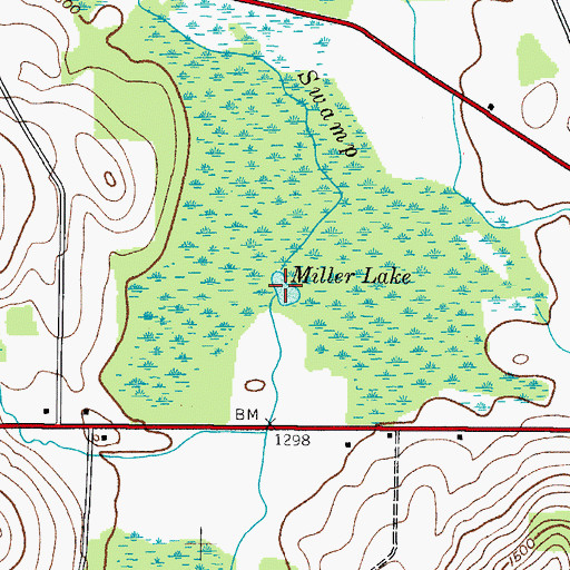 Topographic Map of Miller Lake, NY