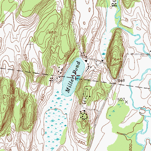 Topographic Map of Miller Pond, NY