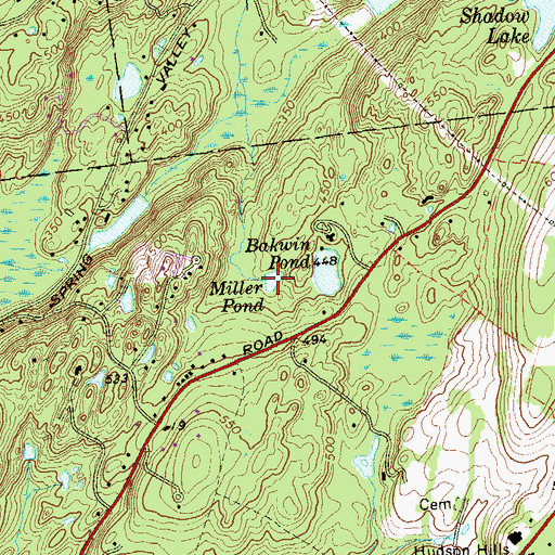 Topographic Map of Miller Pond, NY