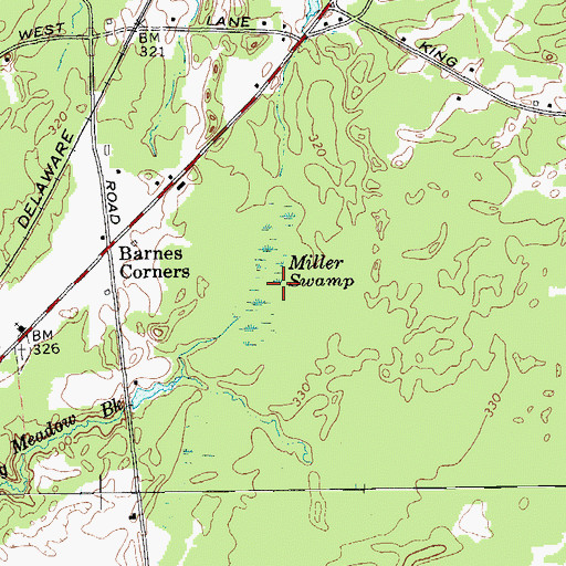 Topographic Map of Miller Swamp, NY