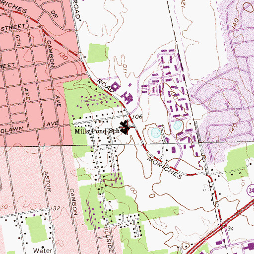 Topographic Map of Mills Pond Elementary School, NY