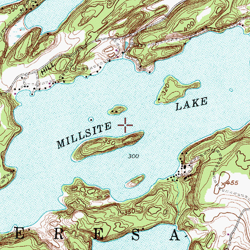 Topographic Map of Millsite Lake, NY