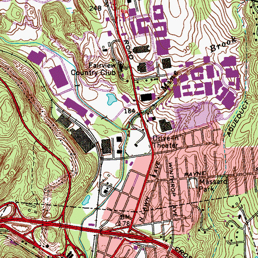 Topographic Map of Mine Brook, NY