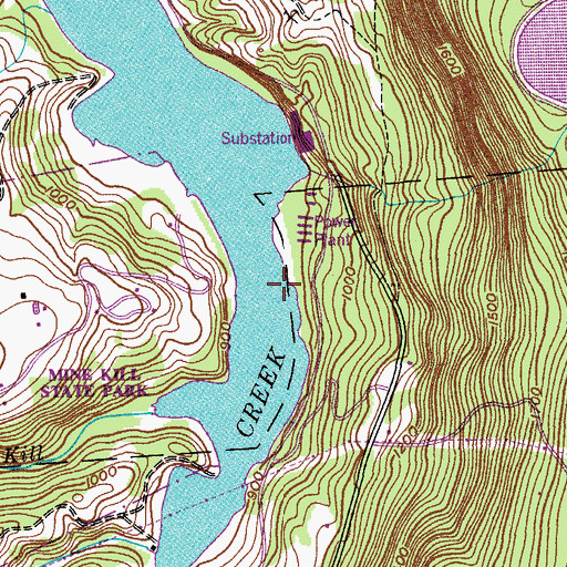 Topographic Map of Mine Kill, NY