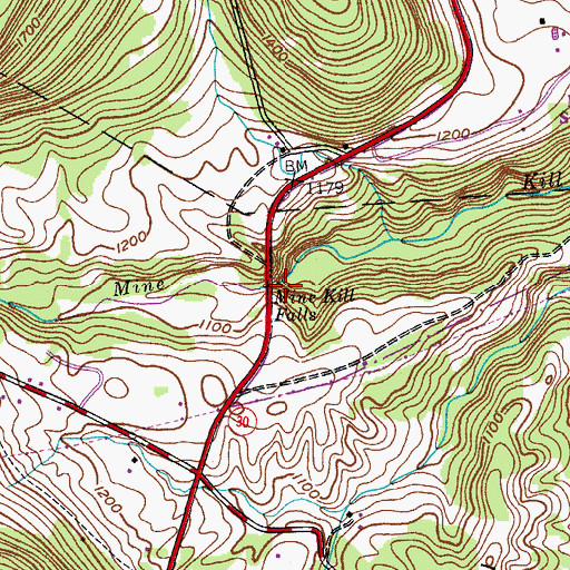 Topographic Map of Mine Kill Falls, NY
