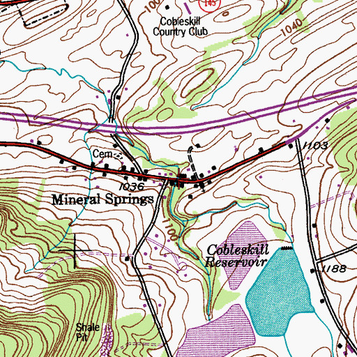 Topographic Map of Mineral Springs, NY