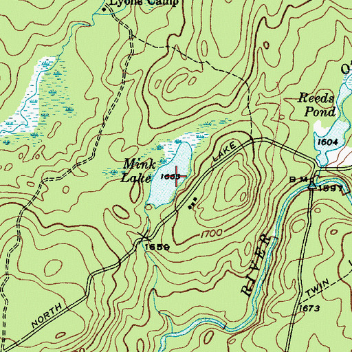 Topographic Map of Mink Lake, NY
