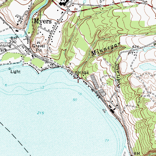 Topographic Map of Minnegar Brook, NY