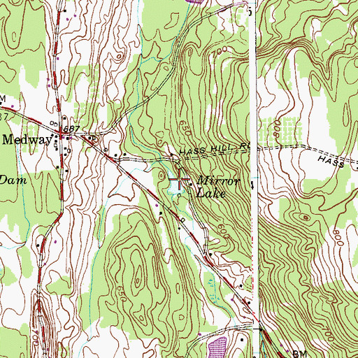 Topographic Map of Mirror Lake, NY