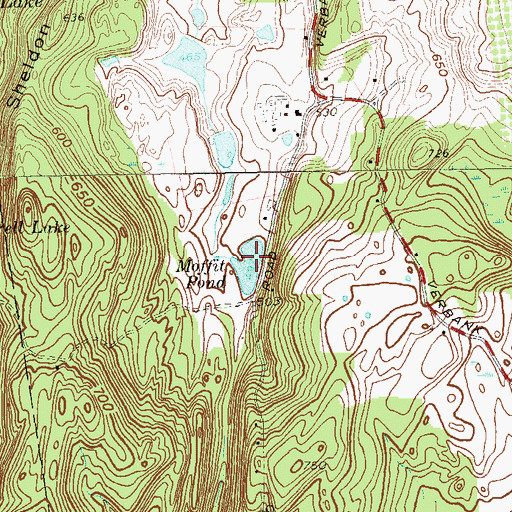 Topographic Map of Moffit Pond, NY