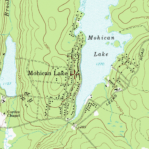 Topographic Map of Mohican Lake, NY