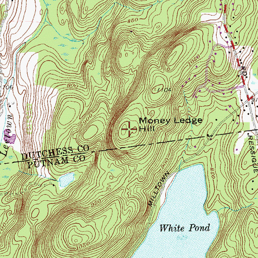 Topographic Map of Money Ledge Hill, NY
