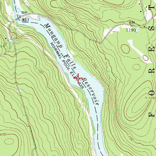 Topographic Map of Mongaup Falls Reservoir, NY