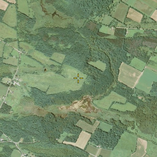 Aerial/Satellite Image of Monkey Mountain, NY