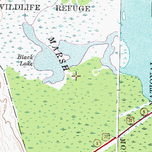 Topographic Map of Montezuma Marsh, NY