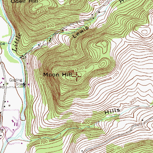 Topographic Map of Moon Hill, NY