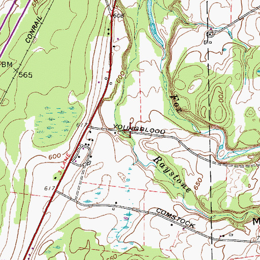 Topographic Map of Mooney Gulf, NY