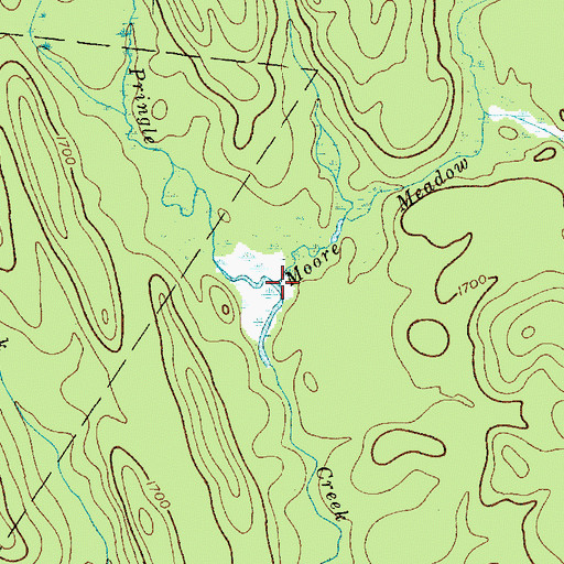 Topographic Map of Moore Meadow Stream, NY