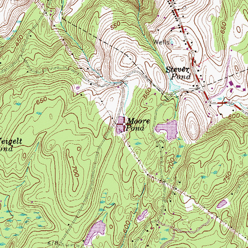 Topographic Map of Moore Pond, NY