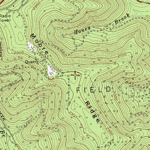 Topographic Map of Moore Ridge, NY
