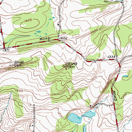 Topographic Map of Morey Cemetery, NY