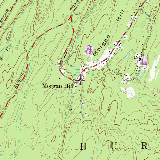 Topographic Map of Morgan Hill, NY