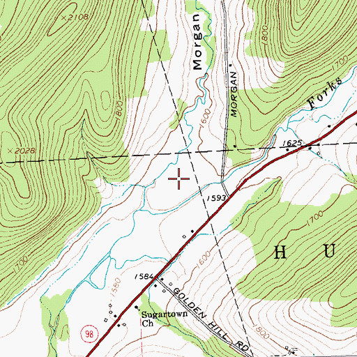 Topographic Map of Morgan Hollow, NY