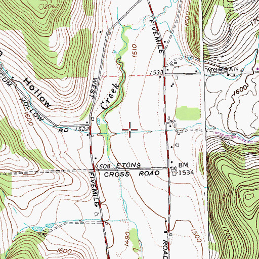 Topographic Map of Morgan Hollow, NY