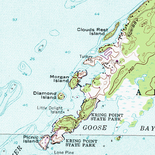 Topographic Map of Morgan Island, NY