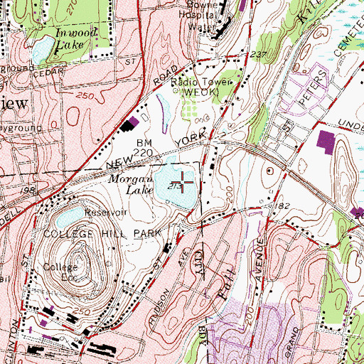 Topographic Map of Morgan Lake, NY