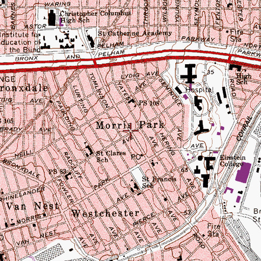 Topographic Map of Morris Park, NY